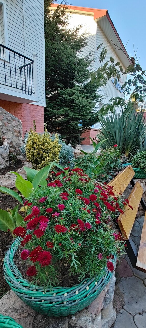 Отель Мыс Севастополь-99