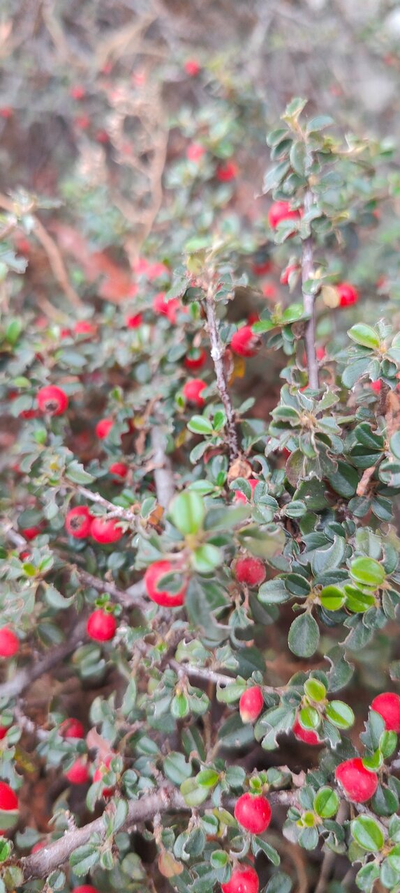 Отель Мыс Севастополь-108