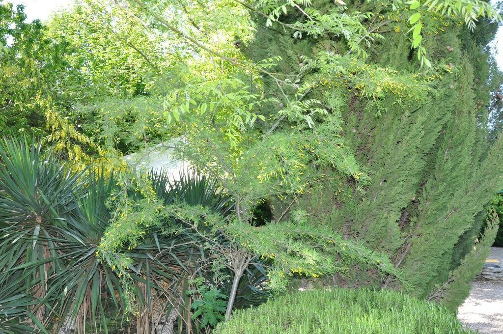 Отель Мыс Севастополь-72