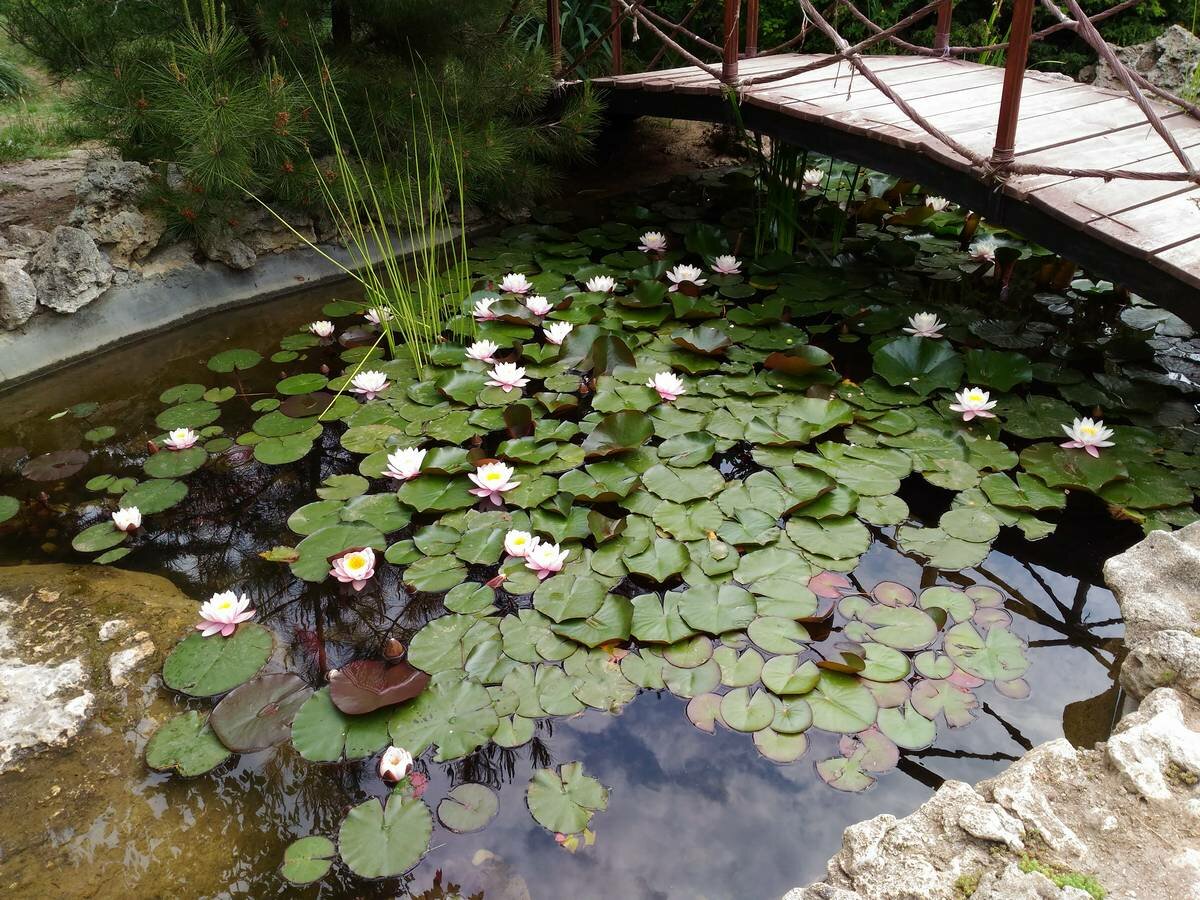 Отель Мыс Севастополь-54