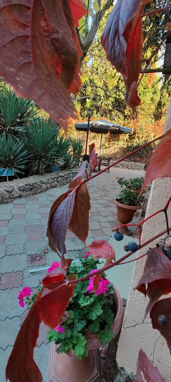 Отель Мыс Севастополь-125