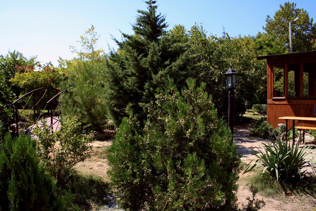 Отель Мыс Севастополь-25