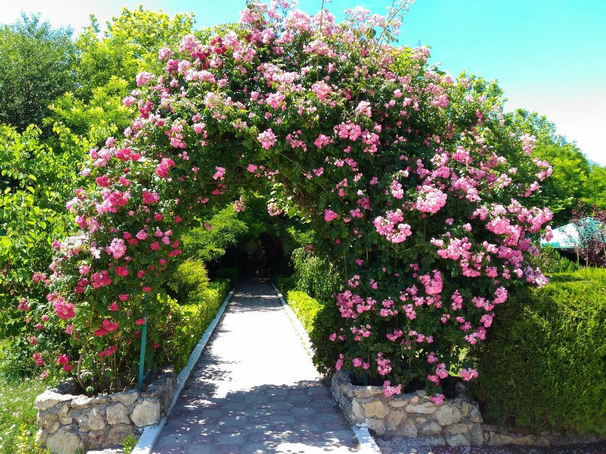 Отель Мыс Севастополь-30