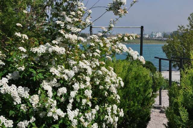 Отель Мыс Севастополь-51