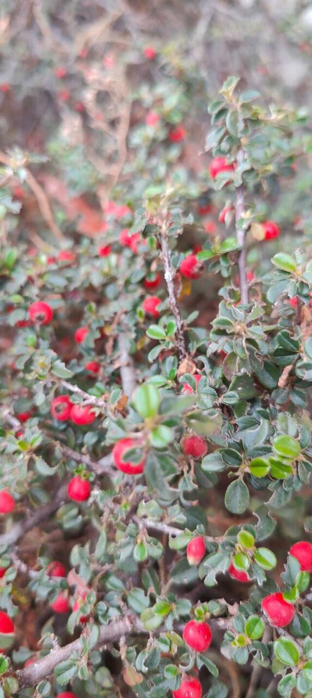 Отель Мыс Севастополь-107