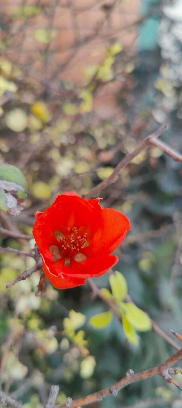 Отель Мыс Севастополь-63