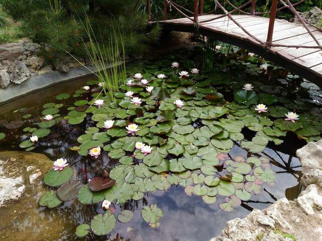 Отель Мыс Севастополь-53