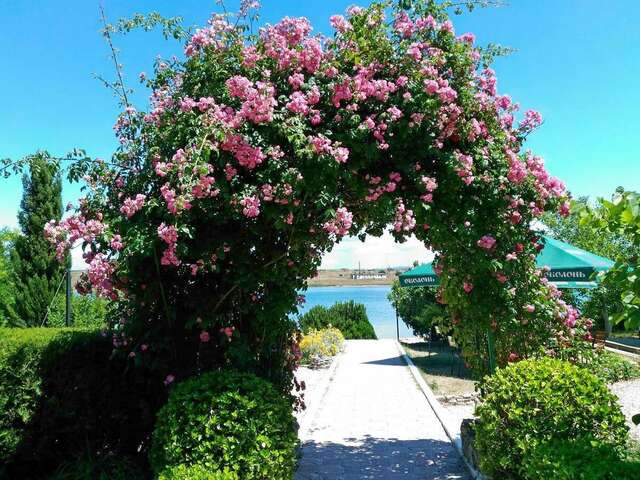 Отель Мыс Севастополь-116