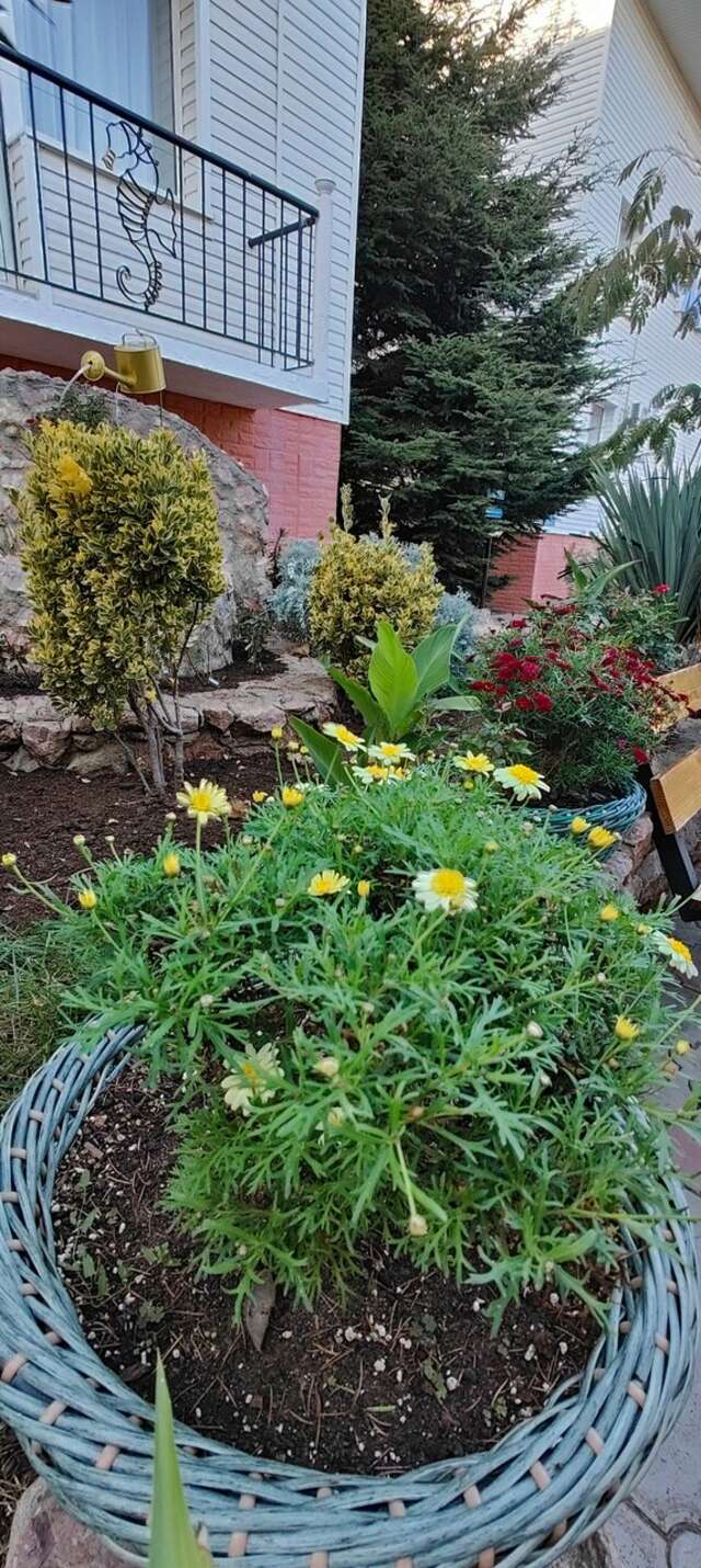 Отель Мыс Севастополь-54