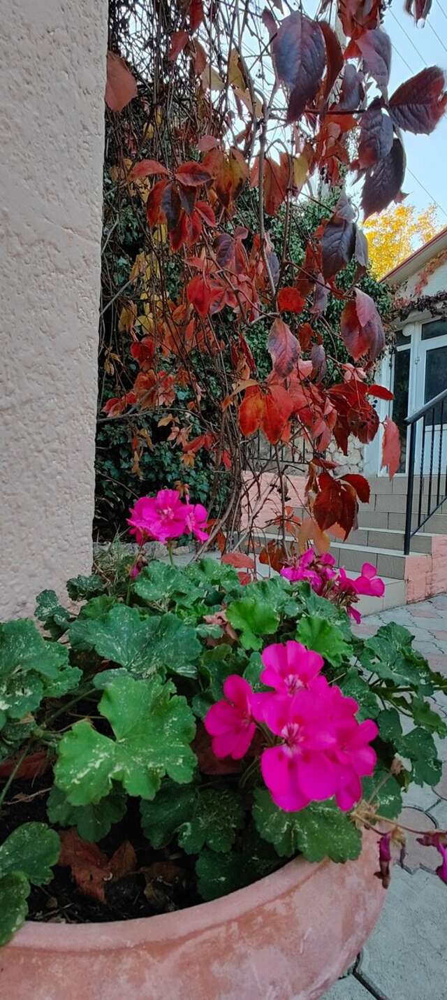 Отель Мыс Севастополь-38